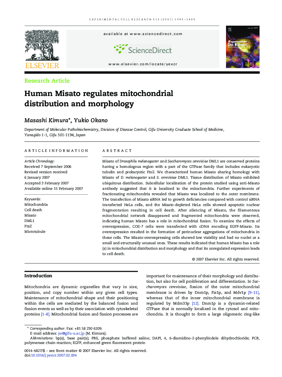 Human Misato regulates mitochondrial distribution and morphology