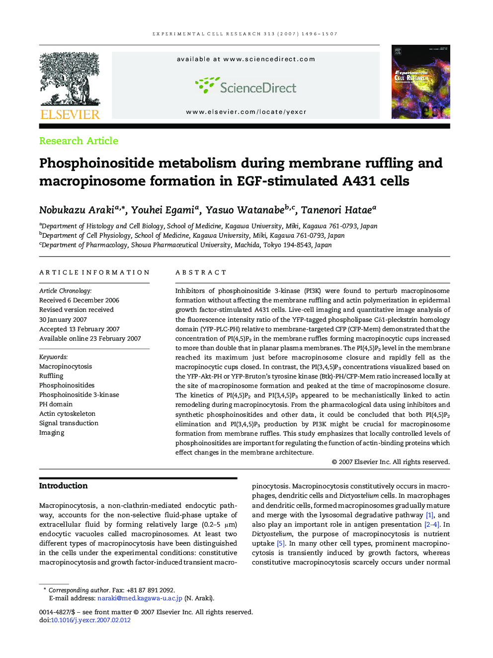 Phosphoinositide metabolism during membrane ruffling and macropinosome formation in EGF-stimulated A431 cells