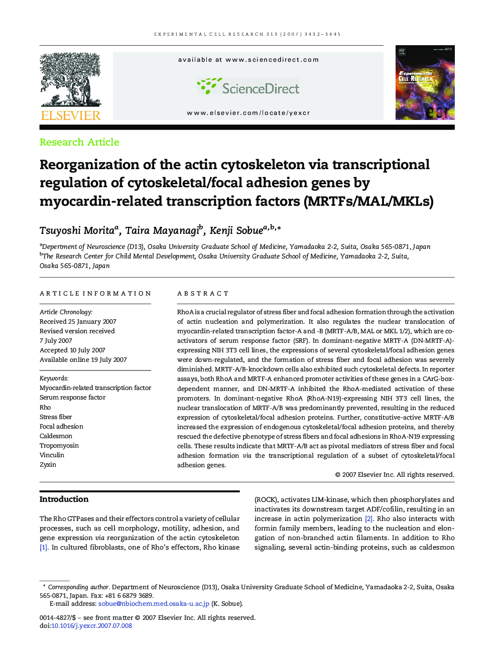 Reorganization of the actin cytoskeleton via transcriptional regulation of cytoskeletal/focal adhesion genes by myocardin-related transcription factors (MRTFs/MAL/MKLs)