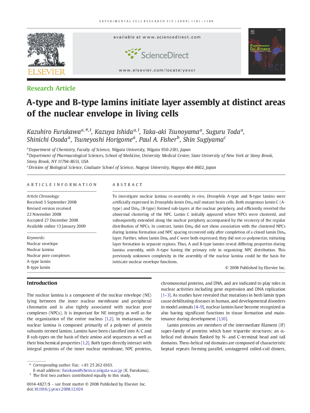 A-type and B-type lamins initiate layer assembly at distinct areas of the nuclear envelope in living cells