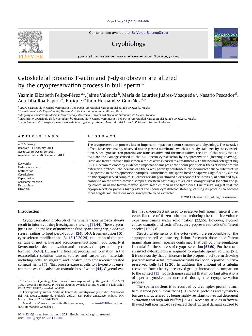 Cytoskeletal proteins F-actin and β-dystrobrevin are altered by the cryopreservation process in bull sperm 