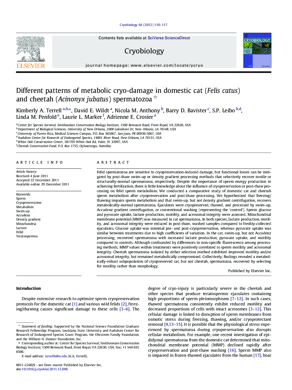 Different patterns of metabolic cryo-damage in domestic cat (Felis catus) and cheetah (Acinonyx jubatus) spermatozoa 