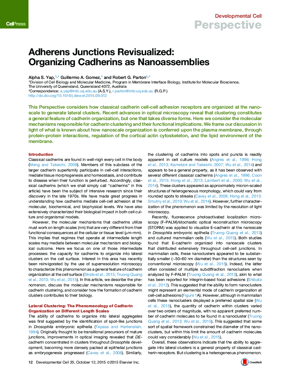 Adherens Junctions Revisualized: Organizing Cadherins as Nanoassemblies
