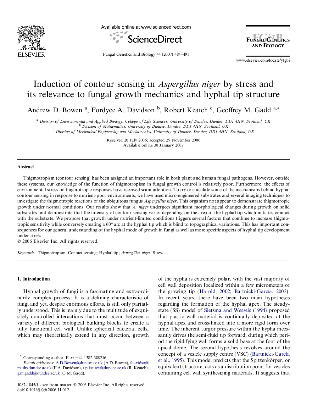 Induction of contour sensing in Aspergillus niger by stress and its relevance to fungal growth mechanics and hyphal tip structure