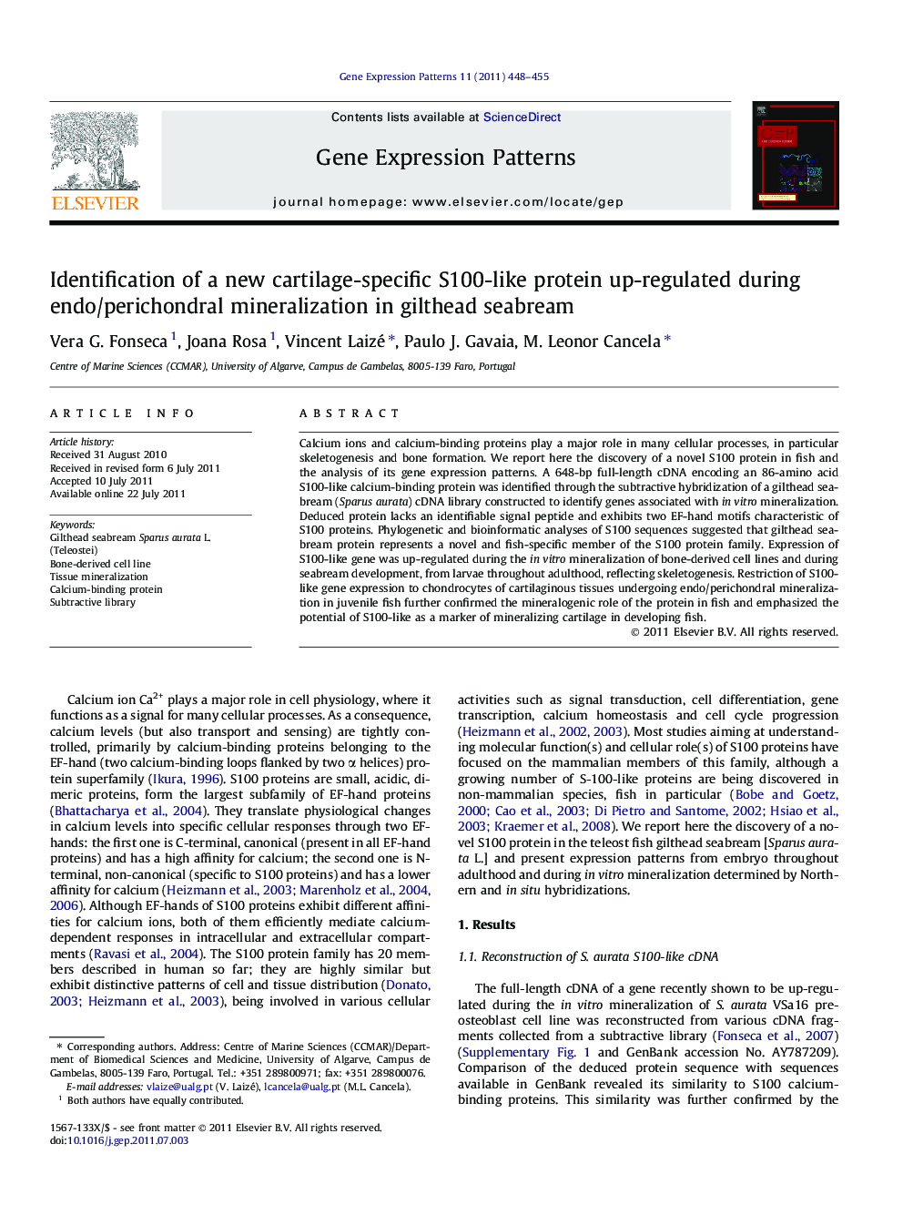 Identification of a new cartilage-specific S100-like protein up-regulated during endo/perichondral mineralization in gilthead seabream