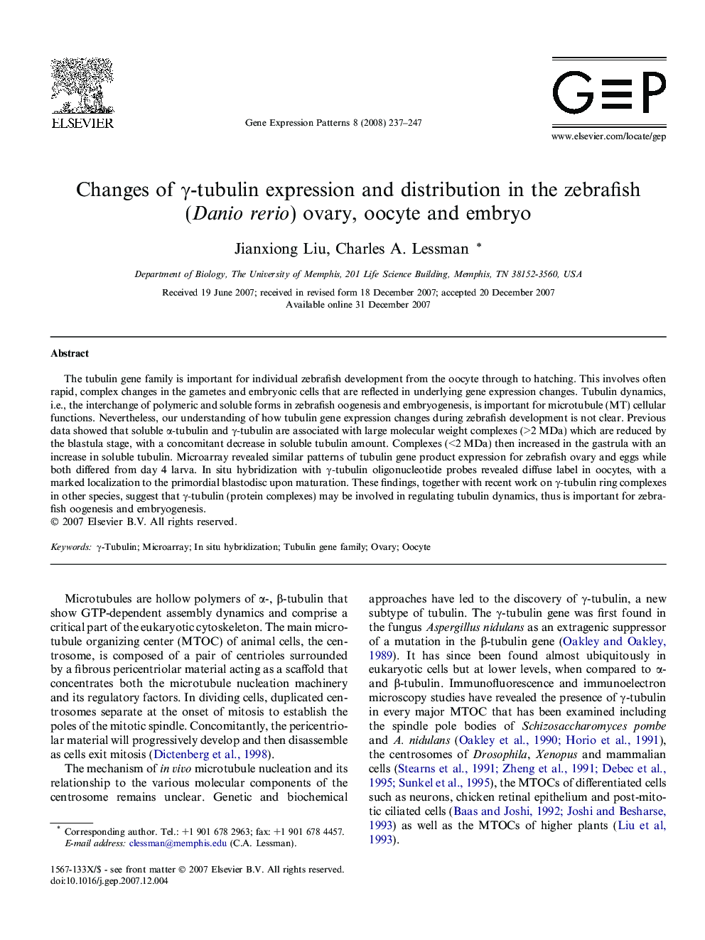 Changes of Î³-tubulin expression and distribution in the zebrafish (Danio rerio) ovary, oocyte and embryo