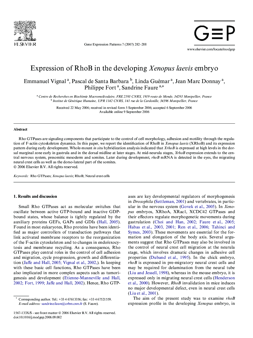 Expression of RhoB in the developing Xenopus laevis embryo