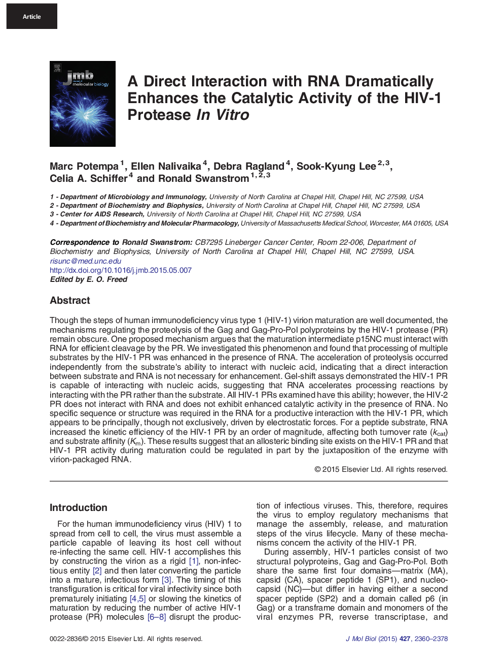 A Direct Interaction with RNA Dramatically Enhances the Catalytic Activity of the HIV-1 Protease In Vitro