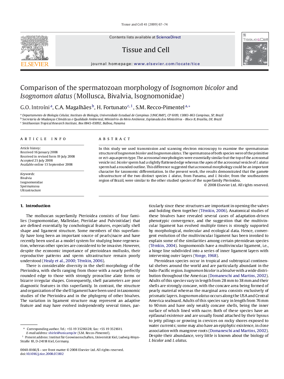 Comparison of the spermatozoan morphology of Isognomon bicolor and Isognomon alatus (Mollusca, Bivalvia, Isognomonidae)