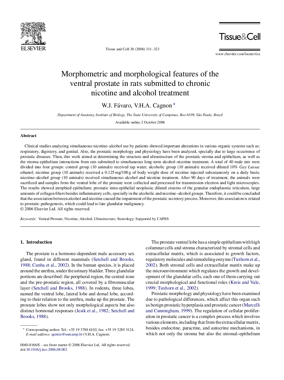 Morphometric and morphological features of the ventral prostate in rats submitted to chronic nicotine and alcohol treatment