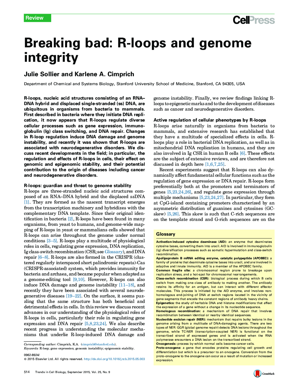 Breaking bad: R-loops and genome integrity