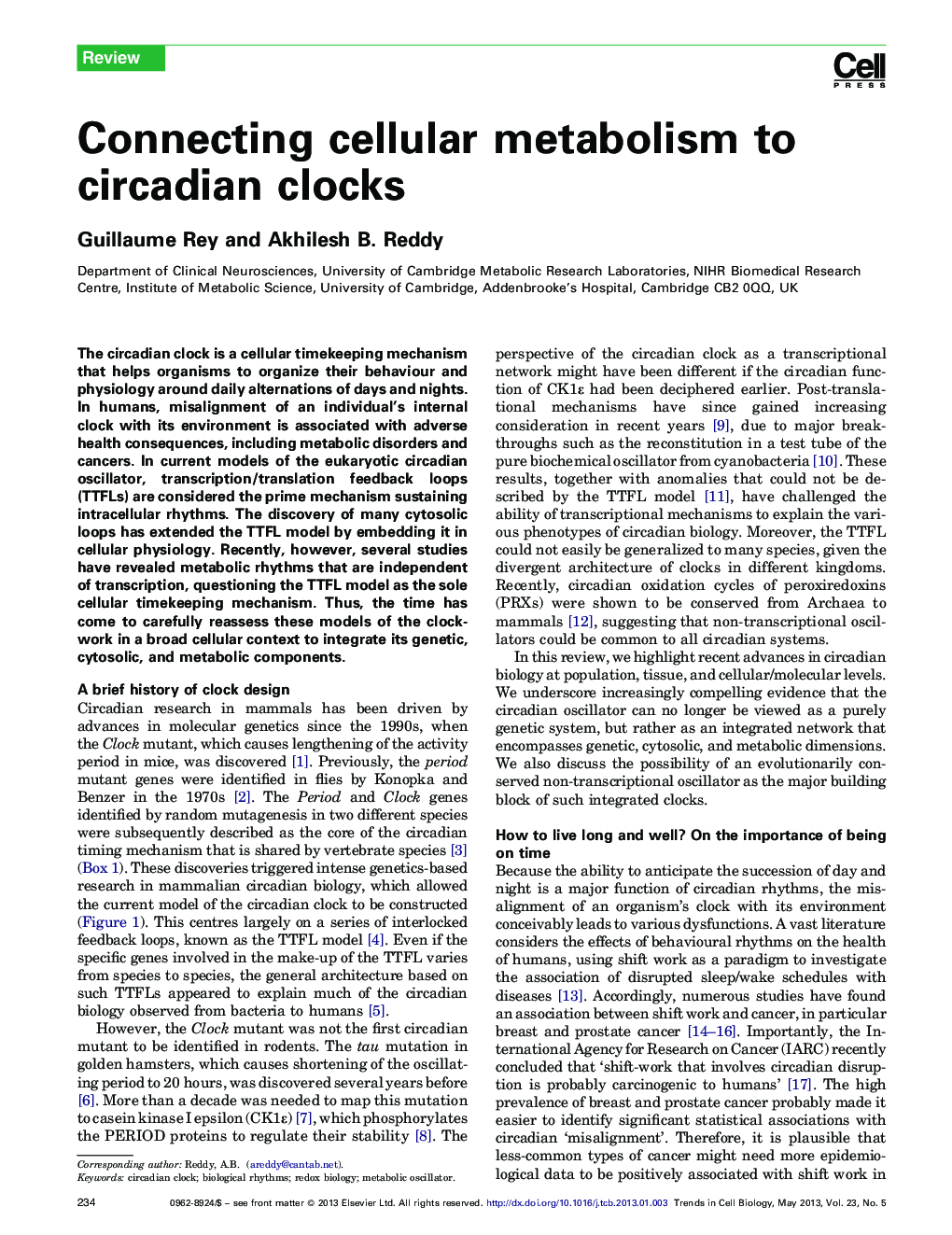 Connecting cellular metabolism to circadian clocks