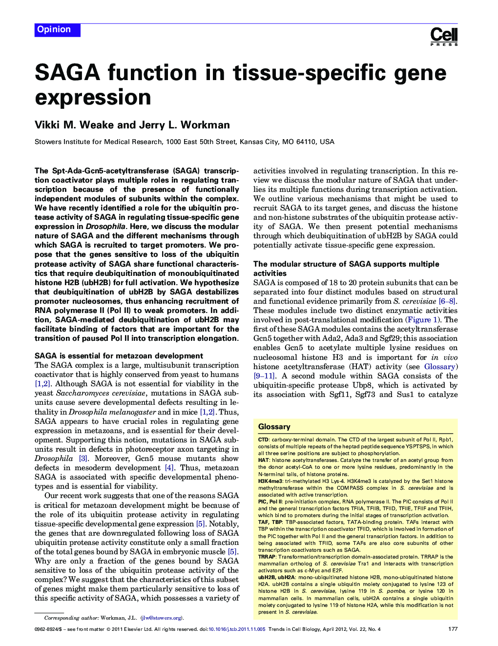 SAGA function in tissue-specific gene expression