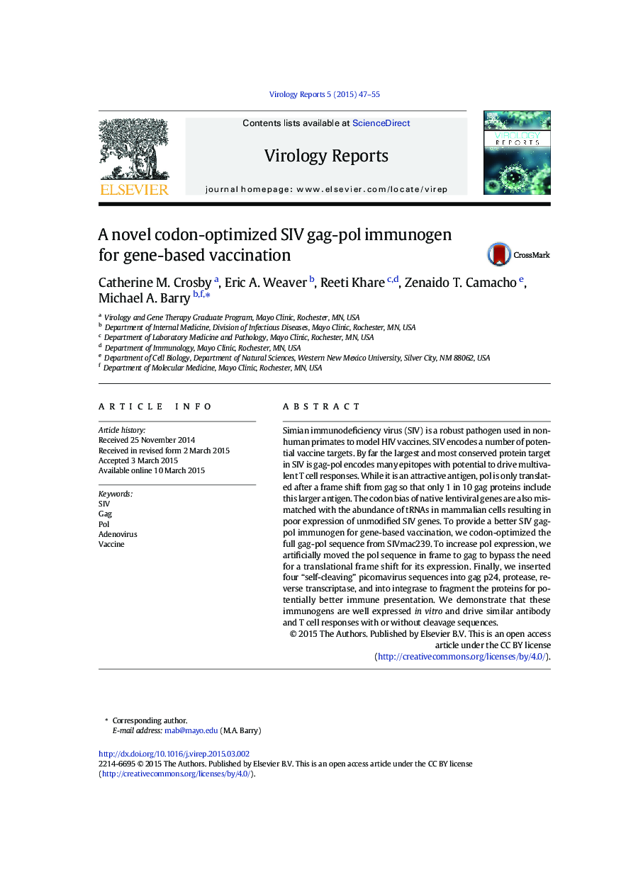A novel codon-optimized SIV gag-pol immunogen for gene-based vaccination