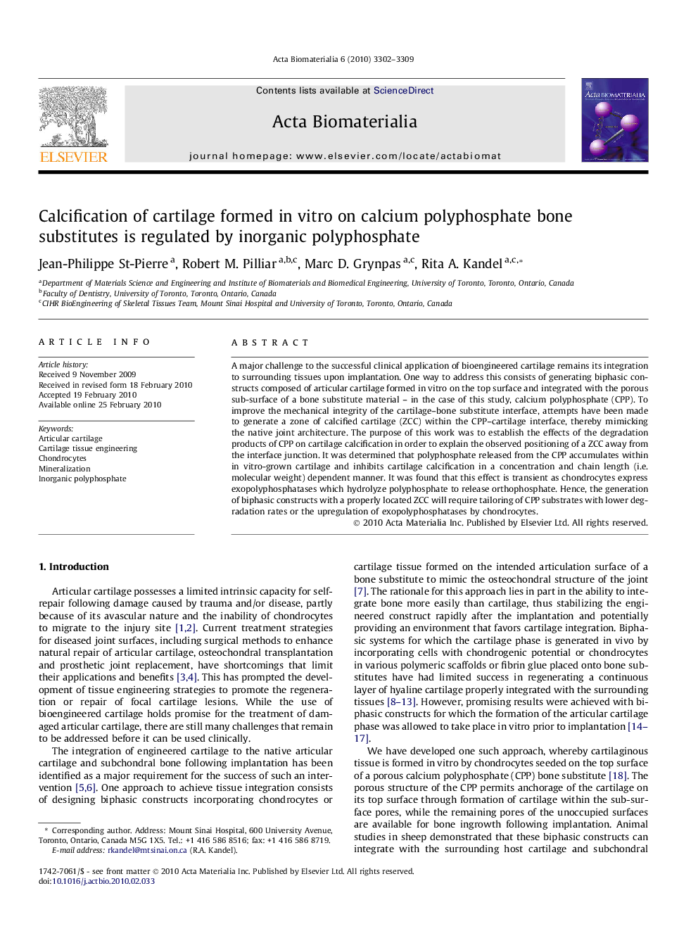 Calcification of cartilage formed in vitro on calcium polyphosphate bone substitutes is regulated by inorganic polyphosphate