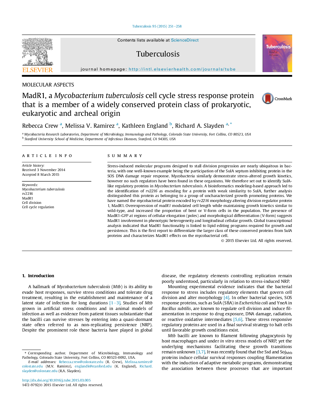 MadR1, a Mycobacterium tuberculosis cell cycle stress response protein that is a member of a widely conserved protein class of prokaryotic, eukaryotic and archeal origin