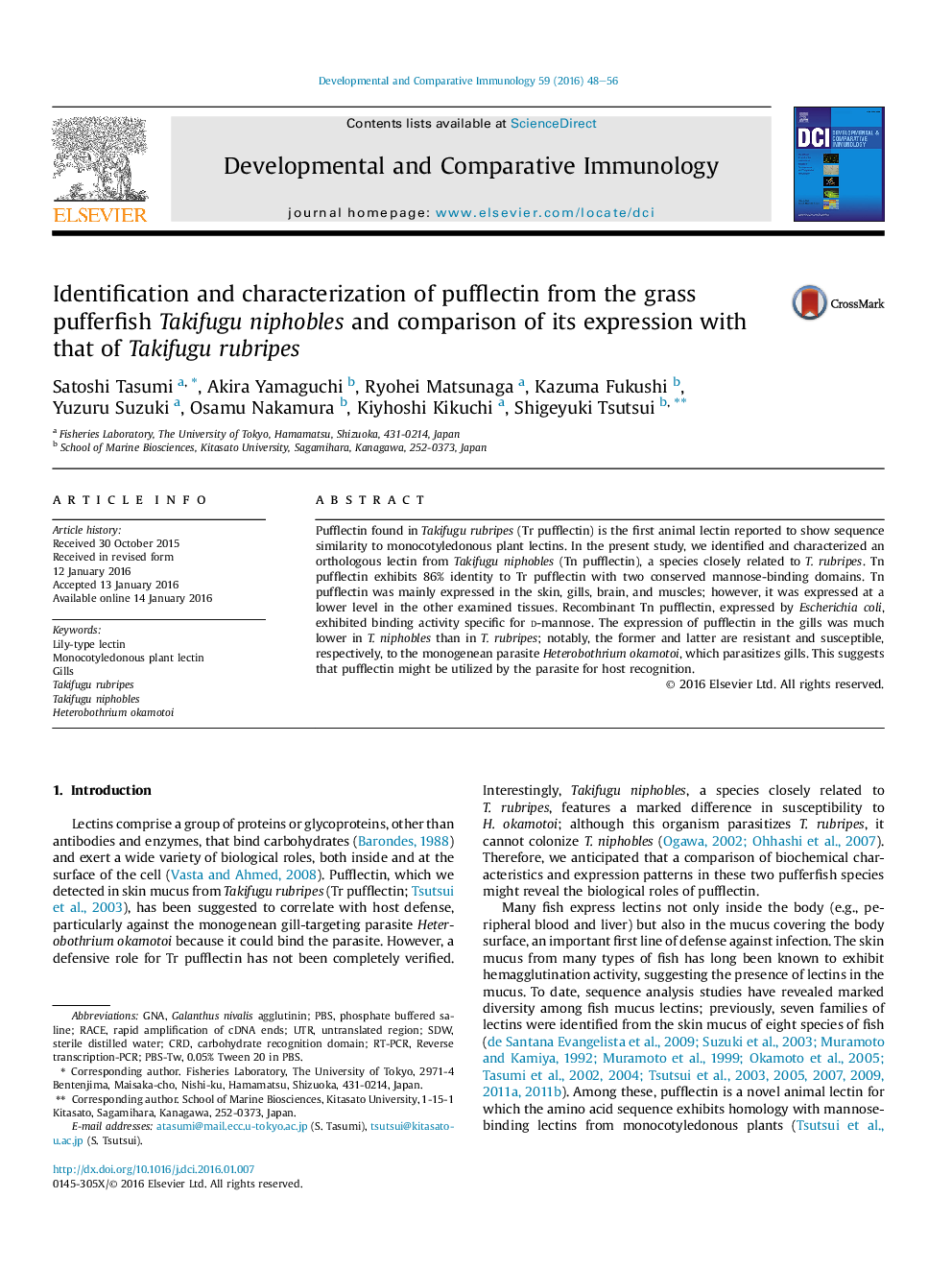 Identification and characterization of pufflectin from the grass pufferfish Takifugu niphobles and comparison of its expression with that of Takifugu rubripes