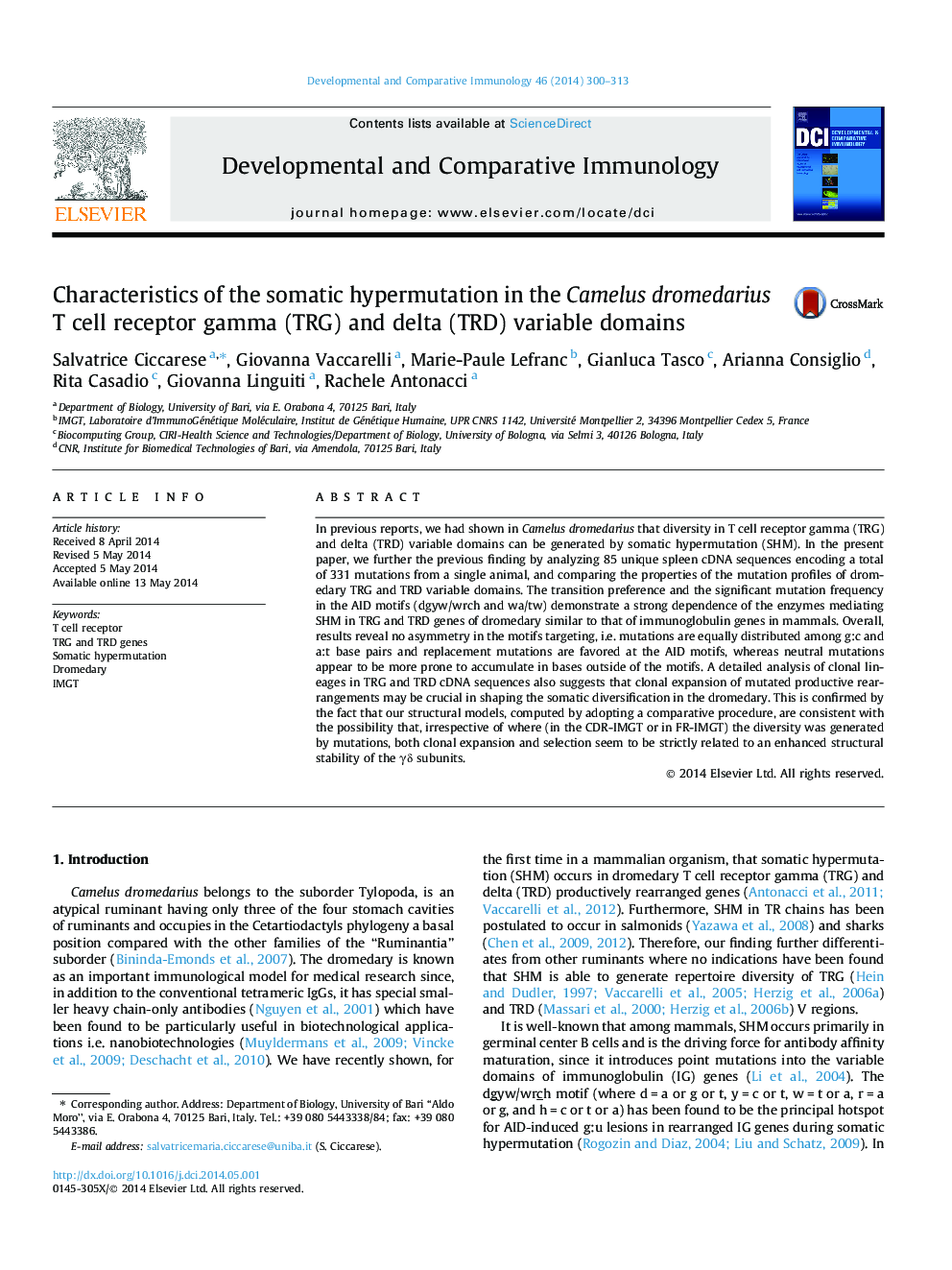 Characteristics of the somatic hypermutation in the Camelus dromedarius T cell receptor gamma (TRG) and delta (TRD) variable domains