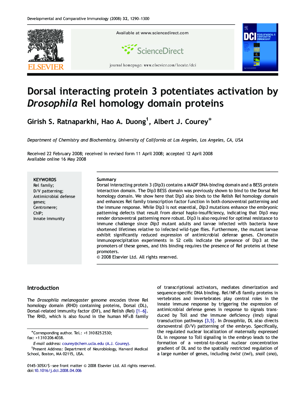 Dorsal interacting protein 3 potentiates activation by Drosophila Rel homology domain proteins
