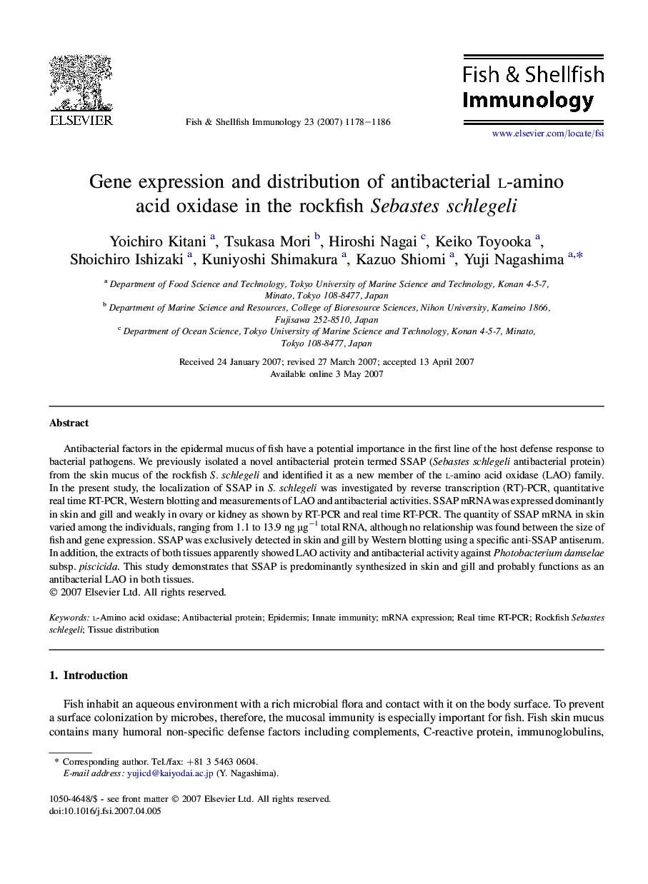 Gene expression and distribution of antibacterial l-amino acid oxidase in the rockfish Sebastes schlegeli