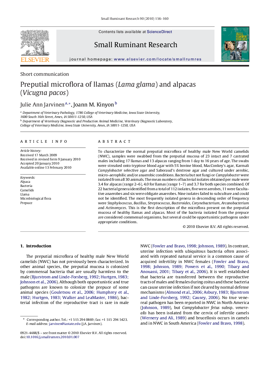 Preputial microflora of llamas (Lama glama) and alpacas (Vicugna pacos)