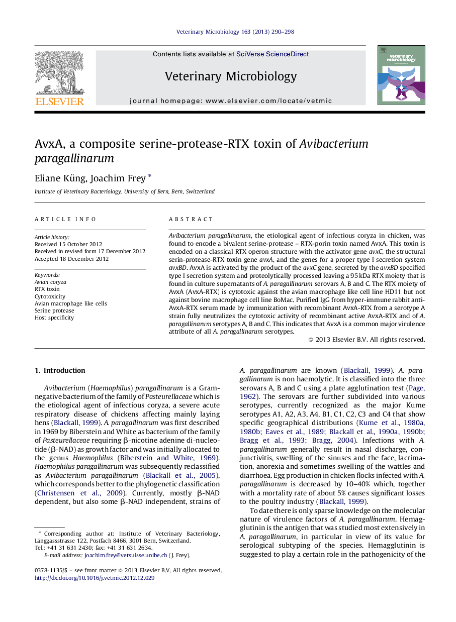 AvxA, a composite serine-protease-RTX toxin of Avibacterium paragallinarum