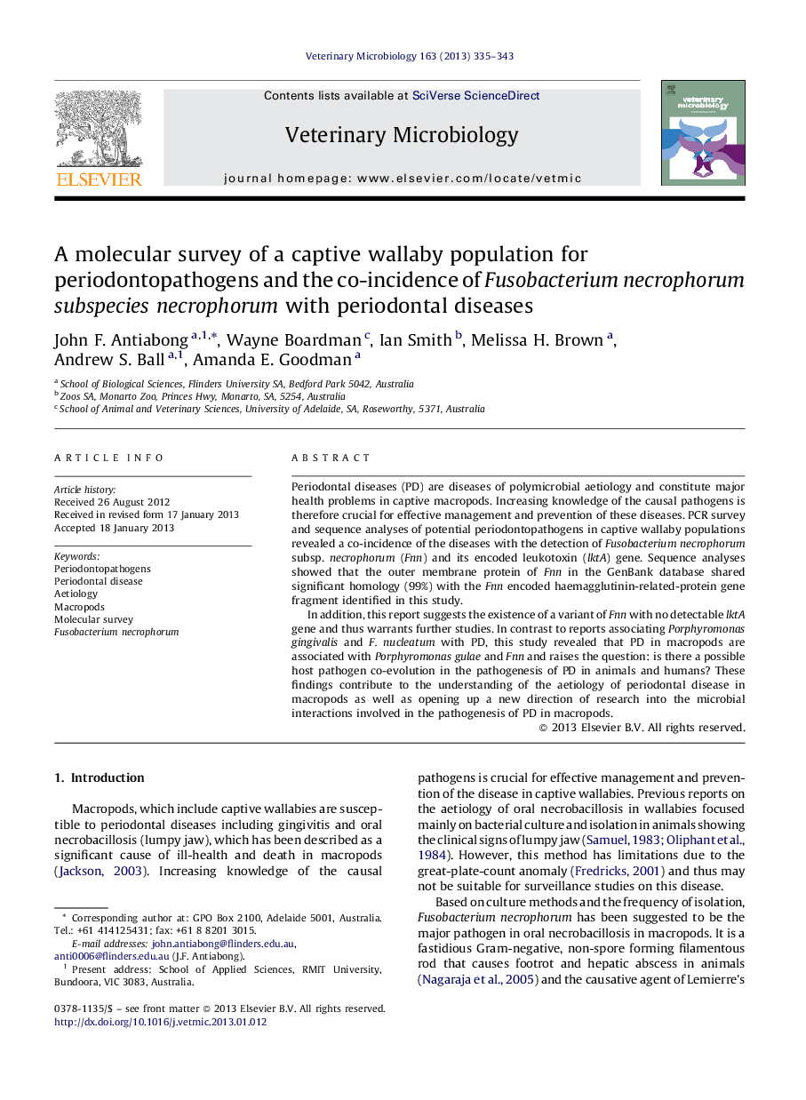 A molecular survey of a captive wallaby population for periodontopathogens and the co-incidence of Fusobacterium necrophorum subspecies necrophorum with periodontal diseases