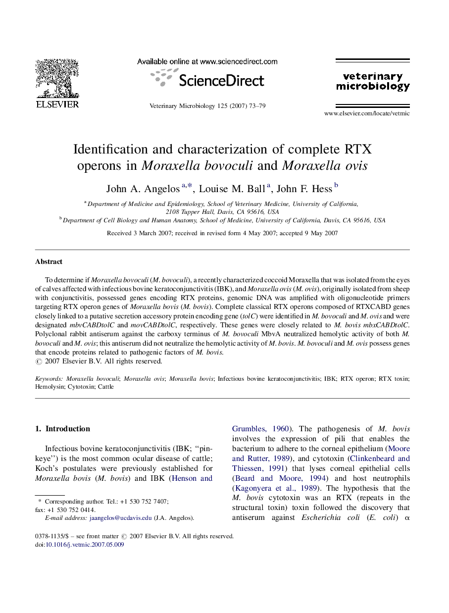 Identification and characterization of complete RTX operons in Moraxella bovoculi and Moraxella ovis