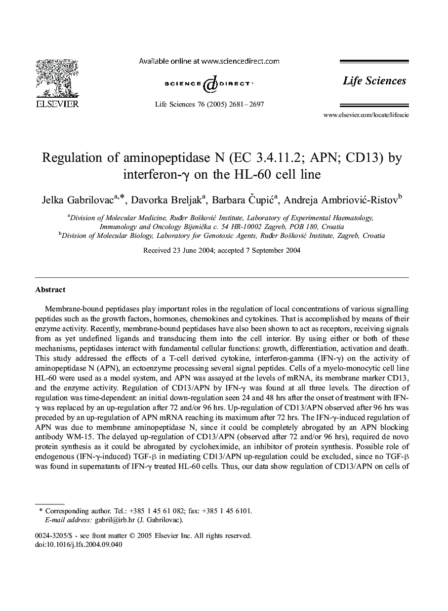 Regulation of aminopeptidase N (EC 3.4.11.2; APN; CD13) by interferon-γ on the HL-60 cell line