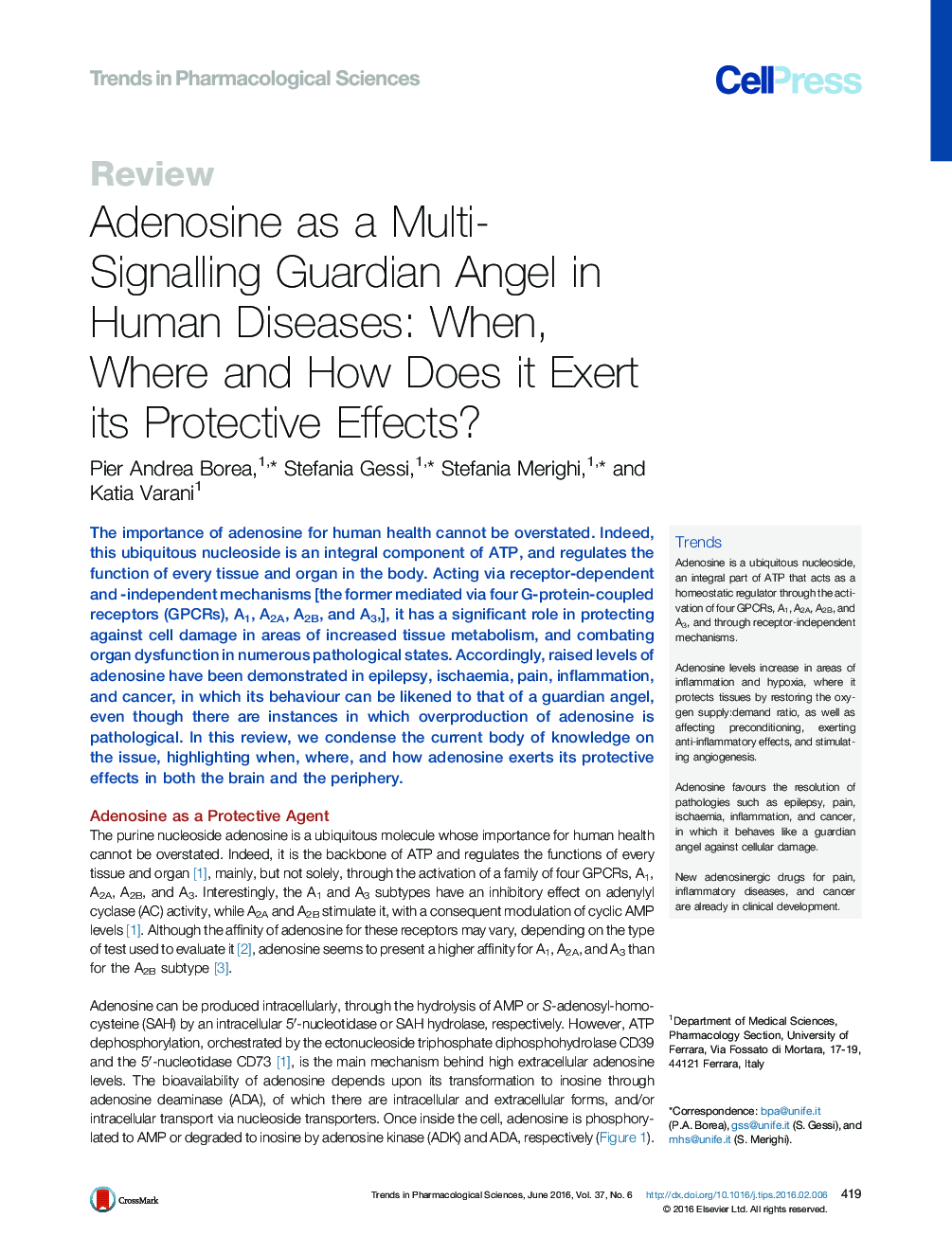 Adenosine as a Multi-Signalling Guardian Angel in Human Diseases: When, Where and How Does it Exert its Protective Effects?