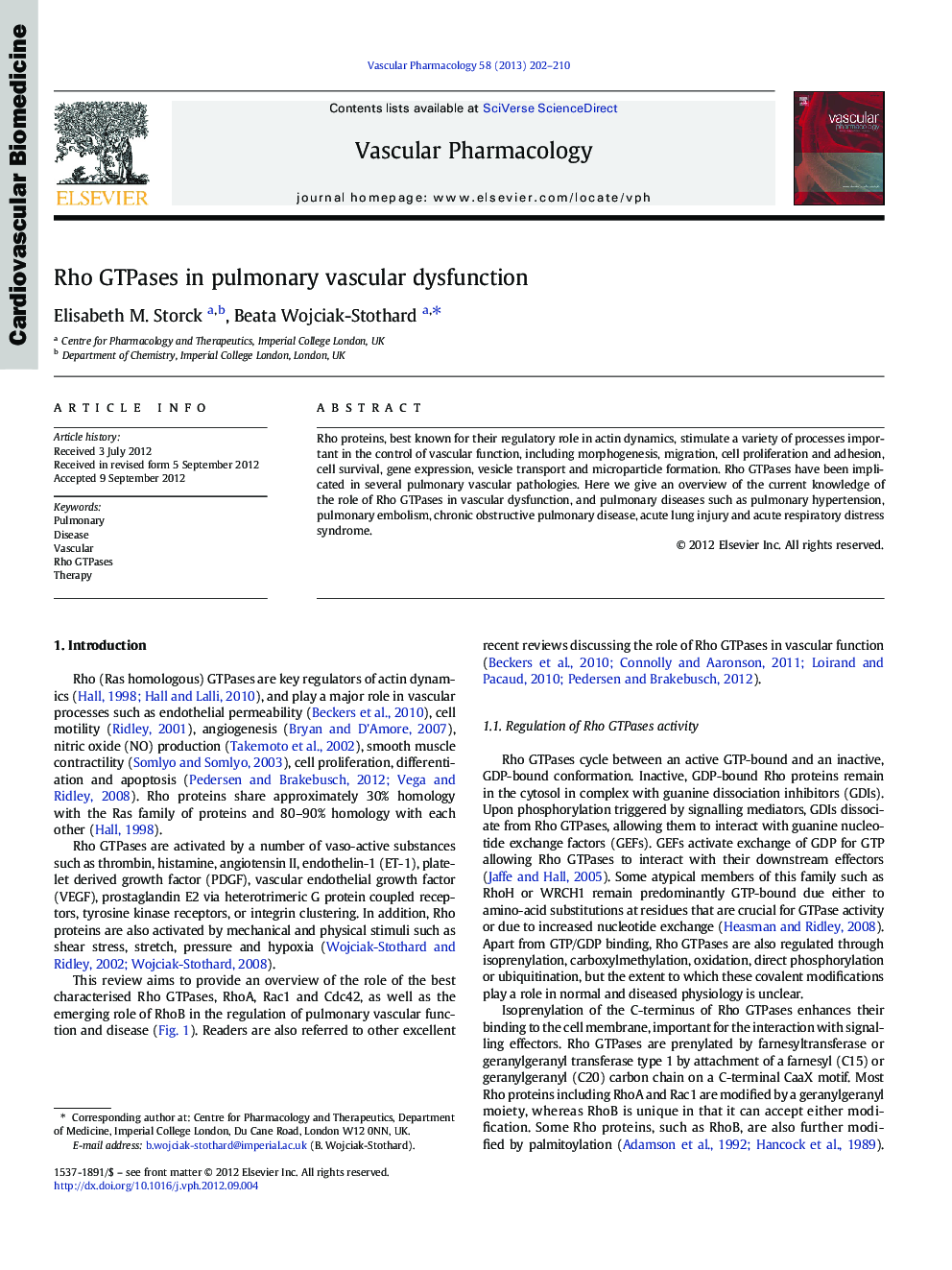 Rho GTPases in pulmonary vascular dysfunction