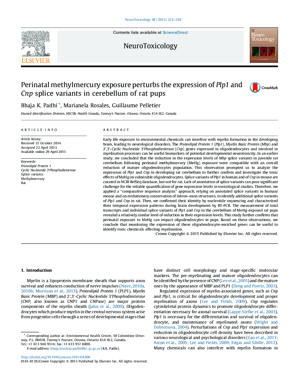 Perinatal methylmercury exposure perturbs the expression of Plp1 and Cnp splice variants in cerebellum of rat pups