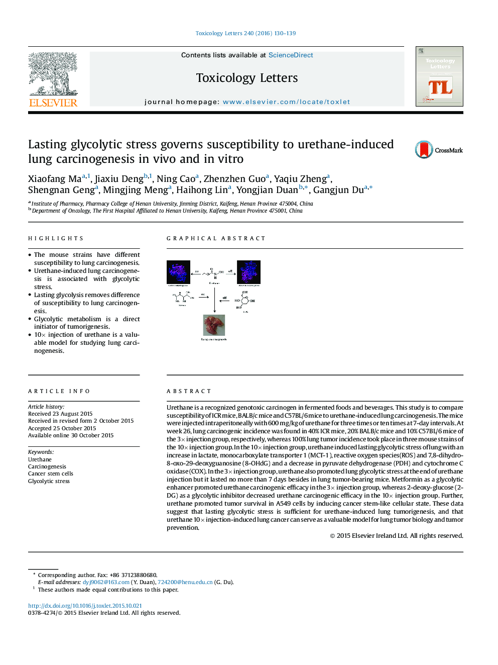 Lasting glycolytic stress governs susceptibility to urethane-induced lung carcinogenesis in vivo and in vitro