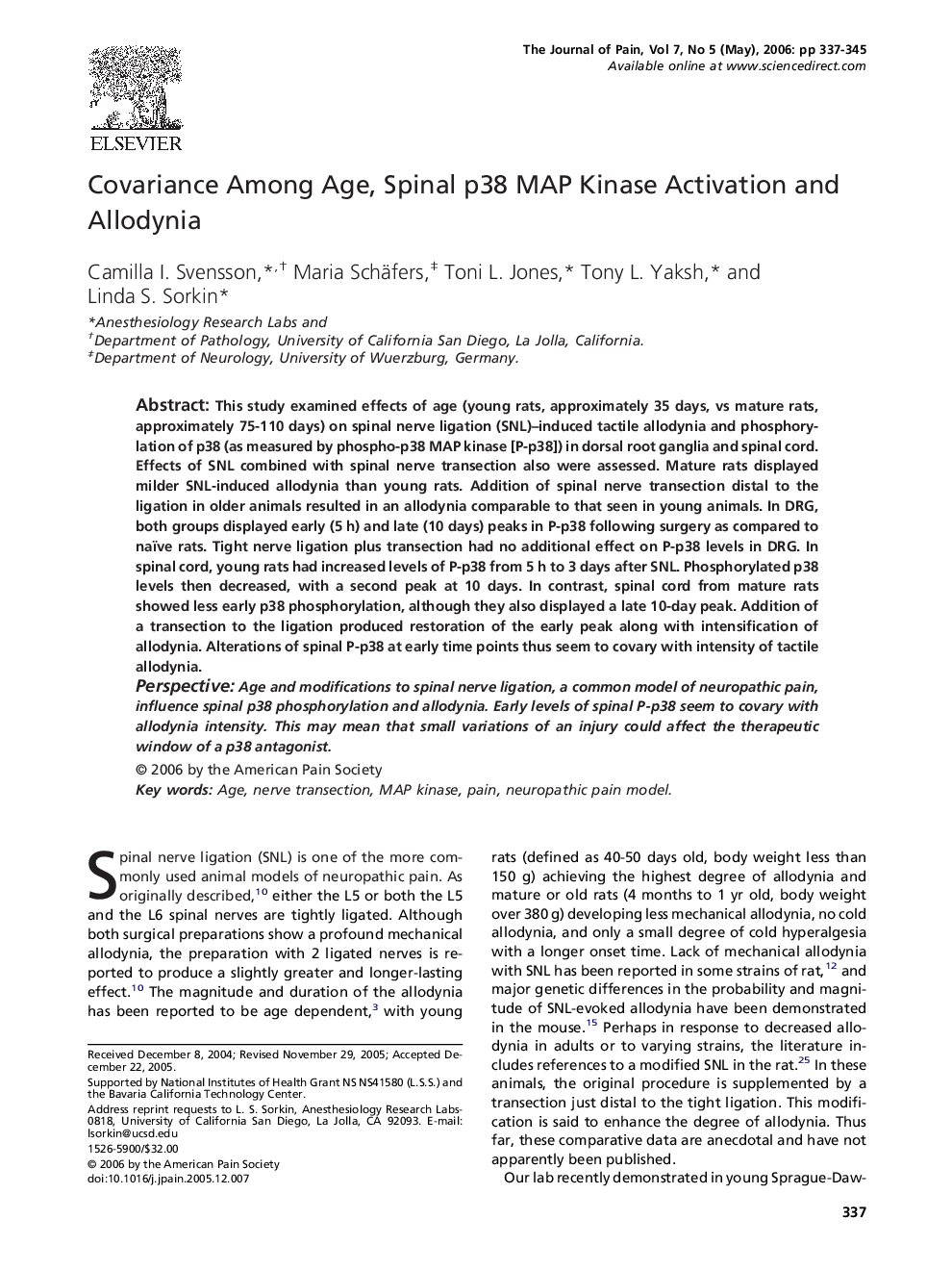 Covariance Among Age, Spinal p38 MAP Kinase Activation and Allodynia 