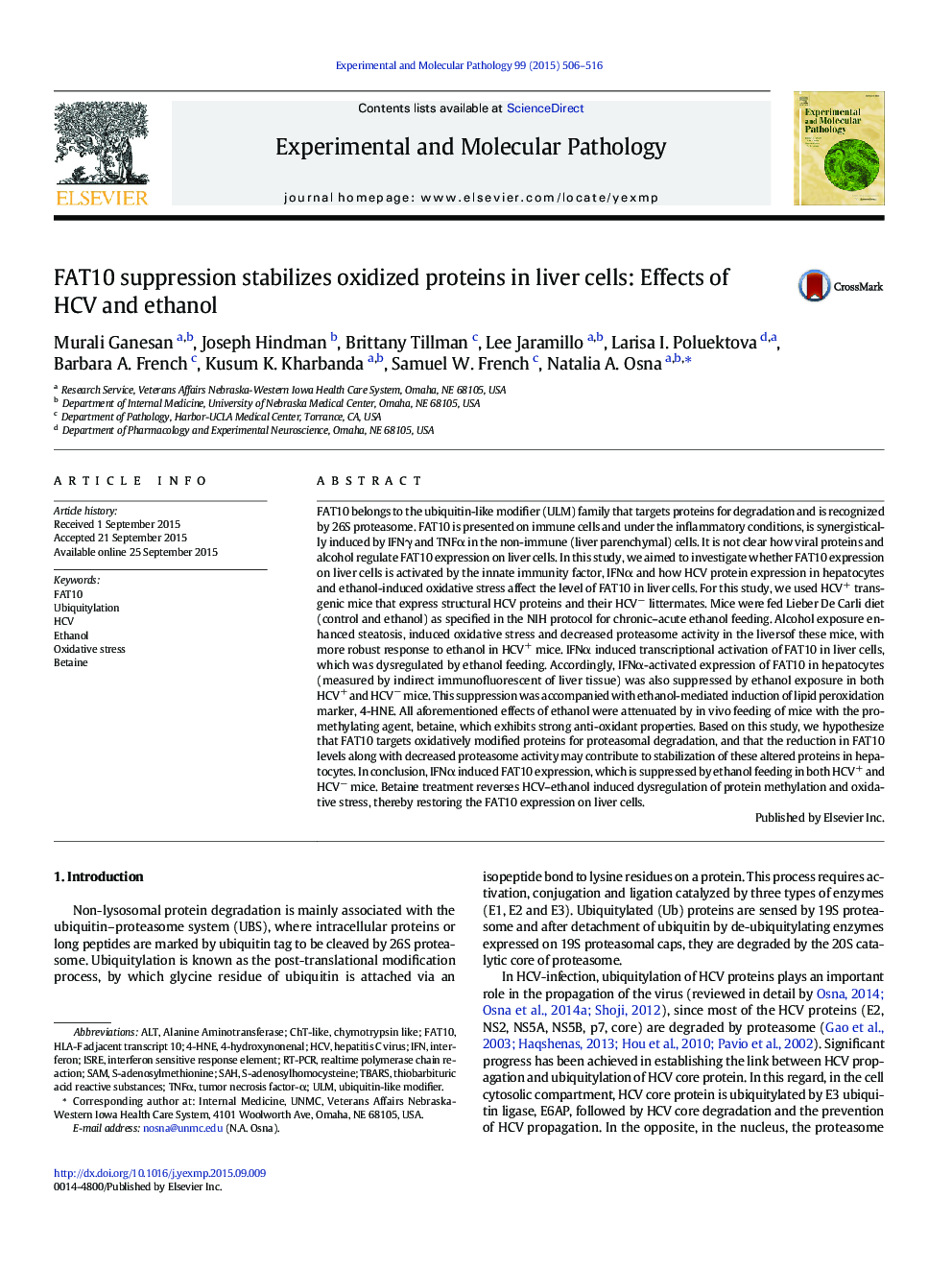 FAT10 suppression stabilizes oxidized proteins in liver cells: Effects of HCV and ethanol