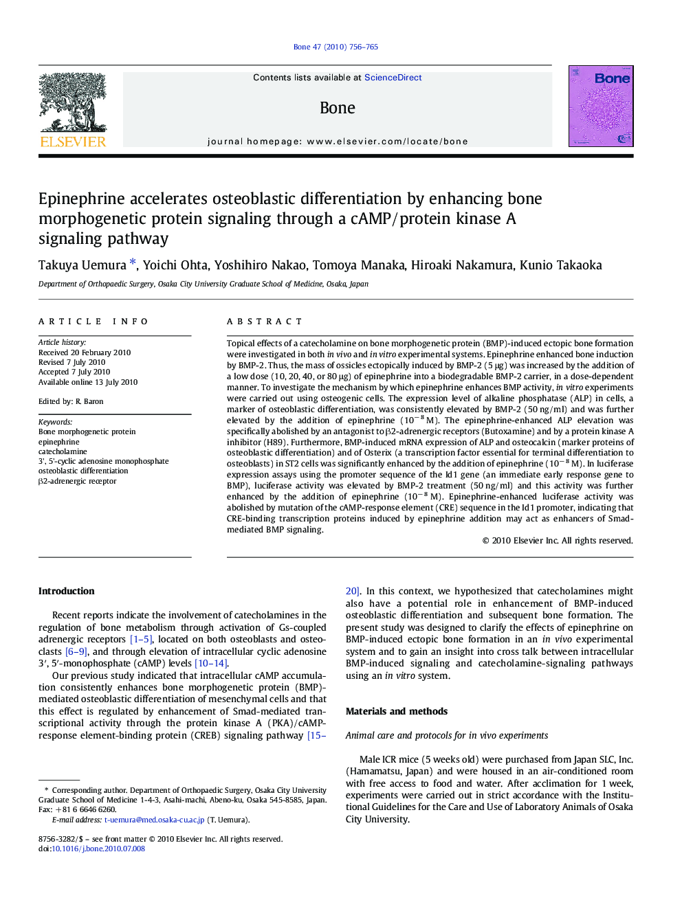 Epinephrine accelerates osteoblastic differentiation by enhancing bone morphogenetic protein signaling through a cAMP/protein kinase A signaling pathway