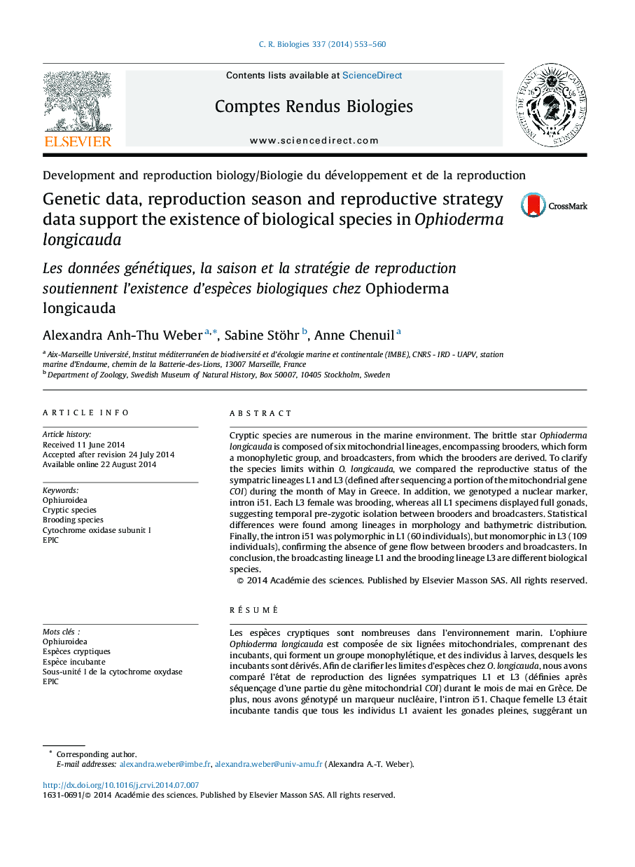 Genetic data, reproduction season and reproductive strategy data support the existence of biological species in Ophioderma longicauda