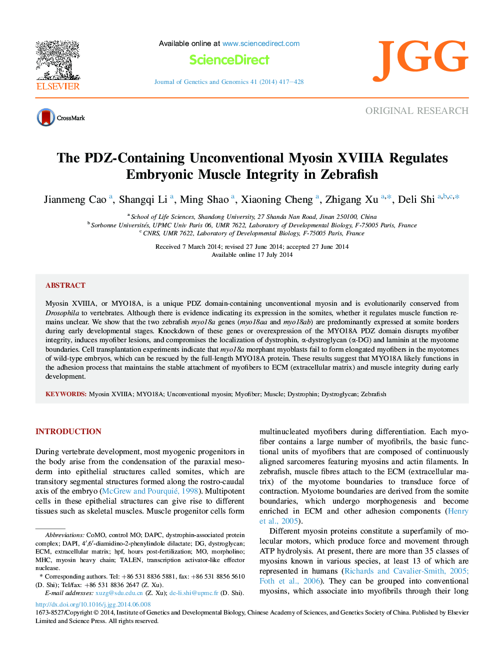The PDZ-Containing Unconventional Myosin XVIIIA Regulates Embryonic Muscle Integrity in Zebrafish