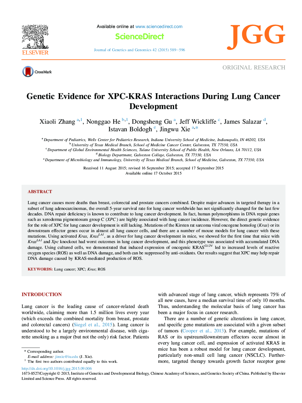 Genetic Evidence for XPC-KRAS Interactions During Lung Cancer Development