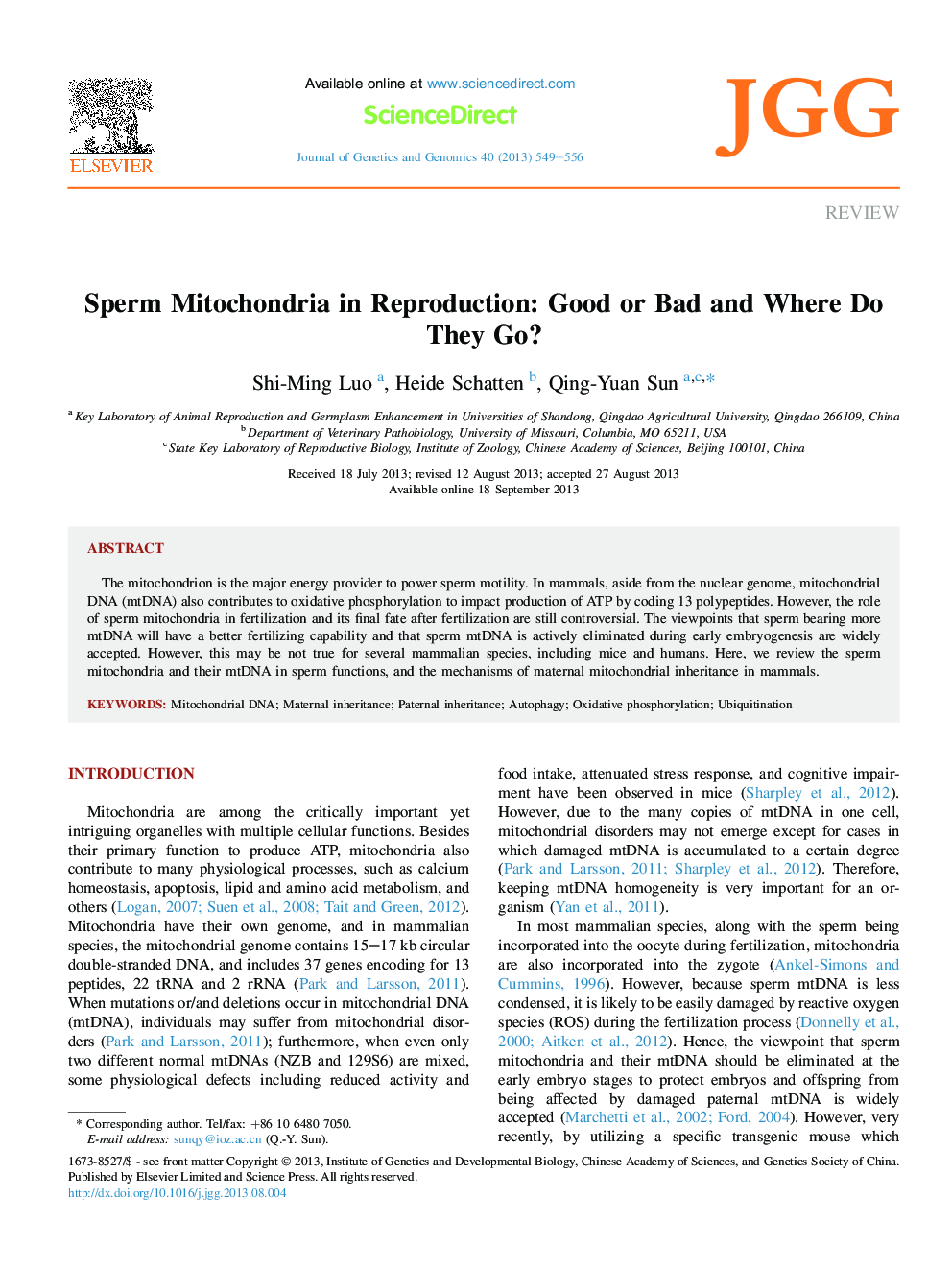 Sperm Mitochondria in Reproduction: Good or Bad and Where Do They Go?
