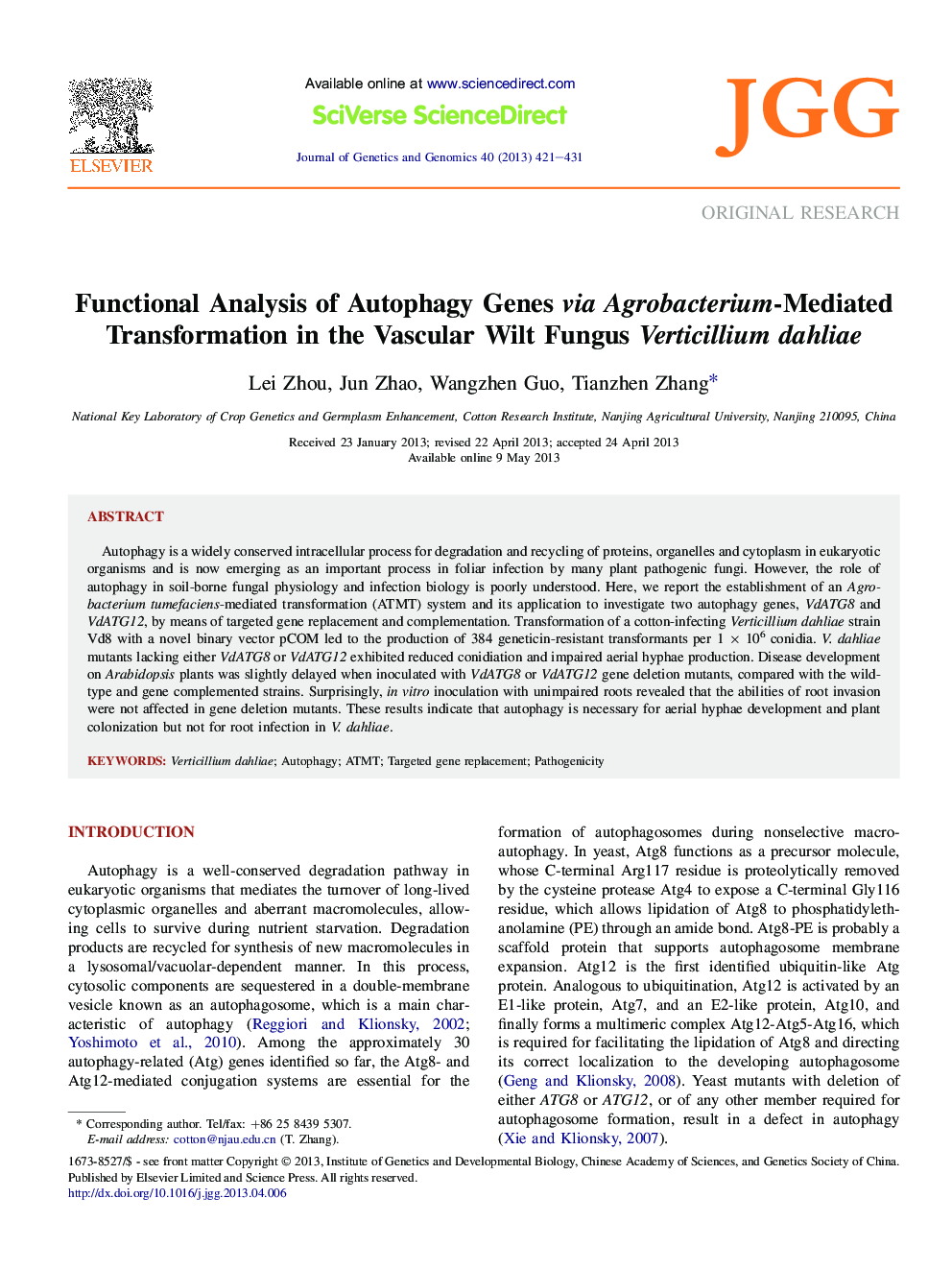 Functional Analysis of Autophagy Genes via Agrobacterium-Mediated Transformation in the Vascular Wilt Fungus Verticillium dahliae