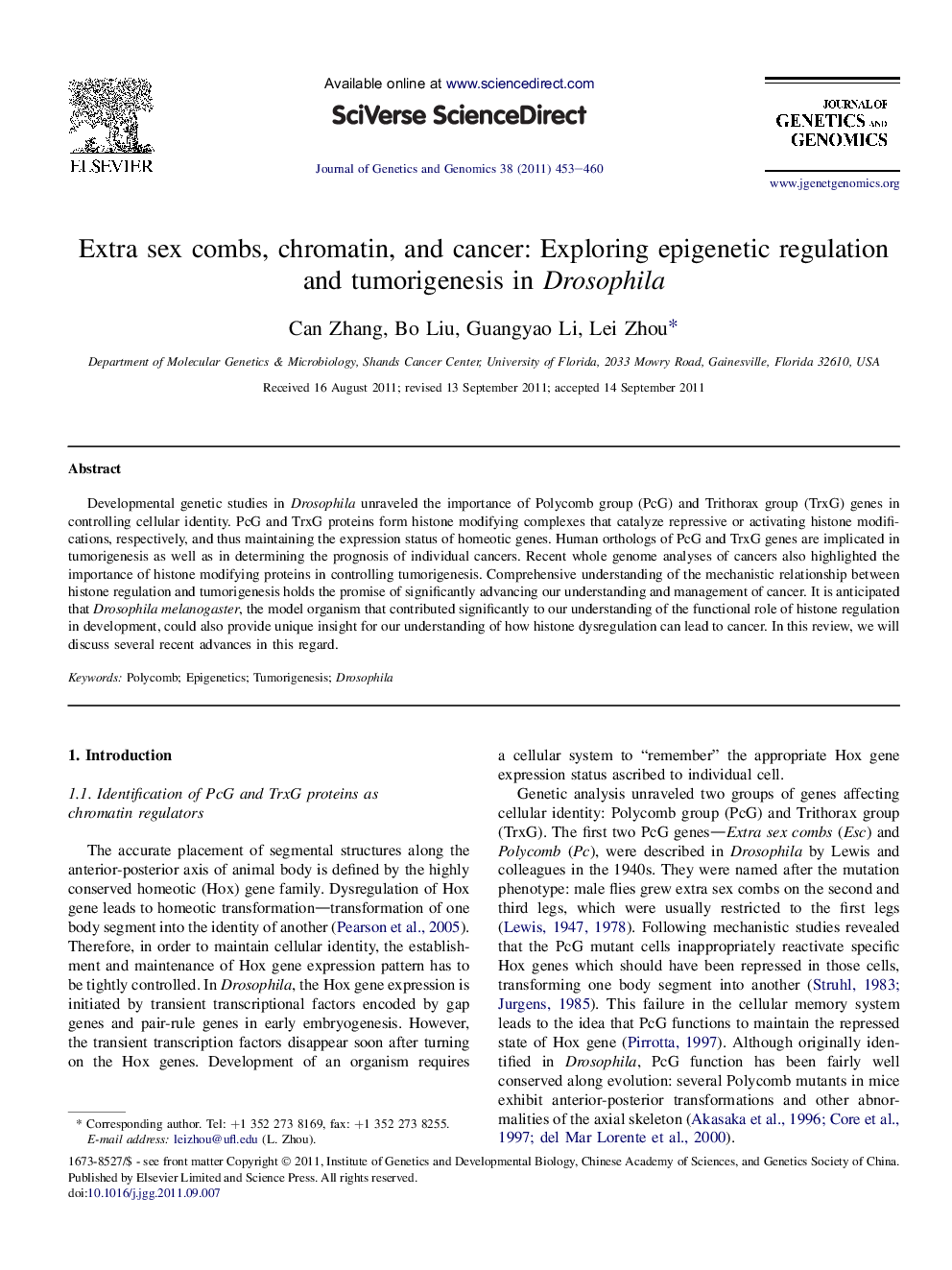 Extra sex combs, chromatin, and cancer: Exploring epigenetic regulation and tumorigenesis in Drosophila