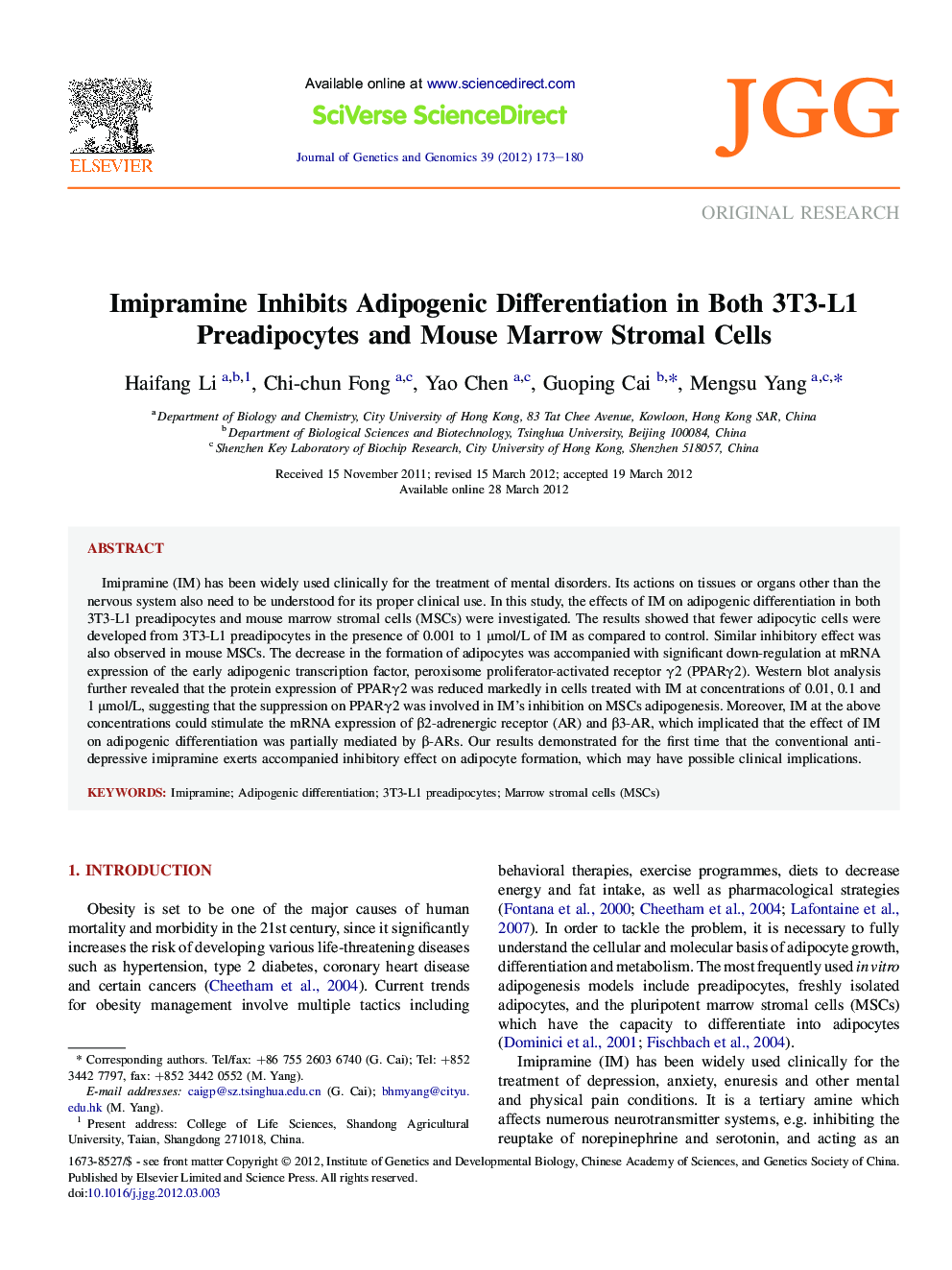 Imipramine Inhibits Adipogenic Differentiation in Both 3T3-L1 Preadipocytes and Mouse Marrow Stromal Cells