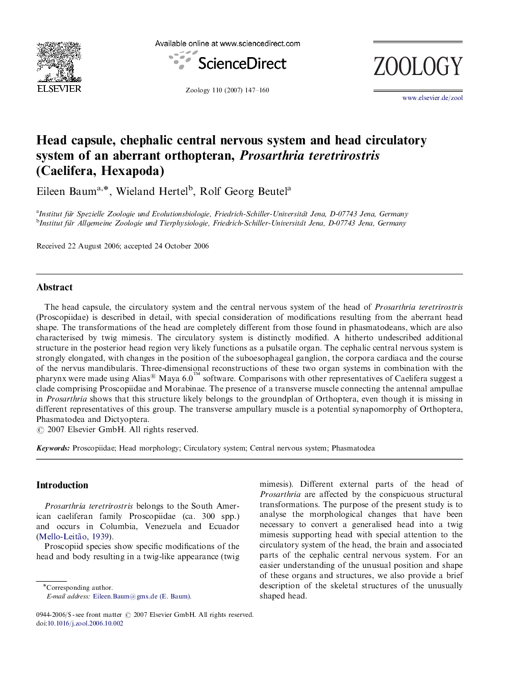 Head capsule, chephalic central nervous system and head circulatory system of an aberrant orthopteran, Prosarthria teretrirostris (Caelifera, Hexapoda)