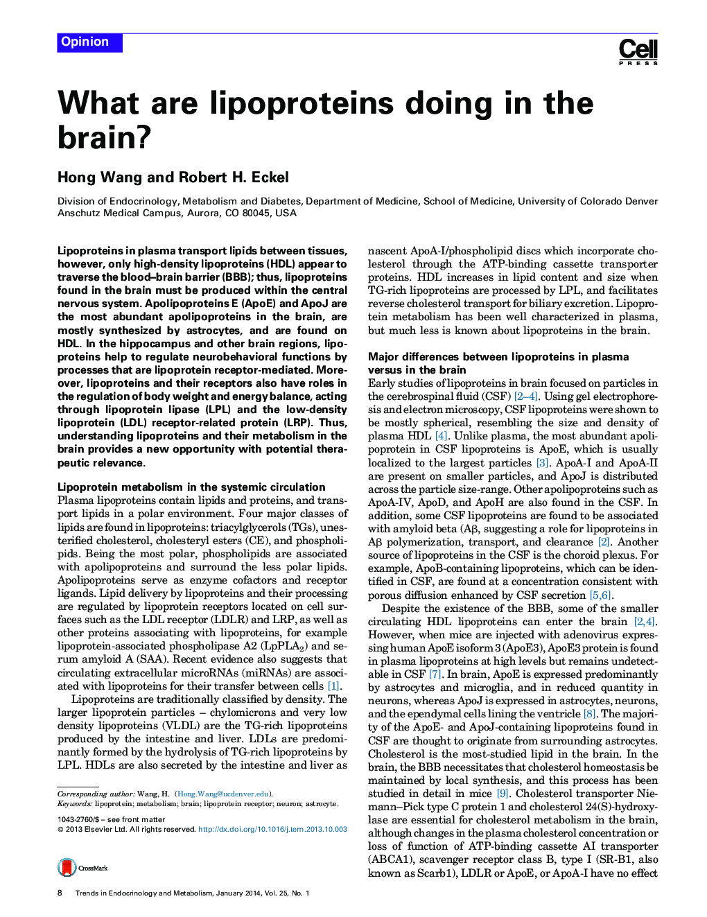 لیپوپروتئین ها در مغز چه کار می کنند؟ 