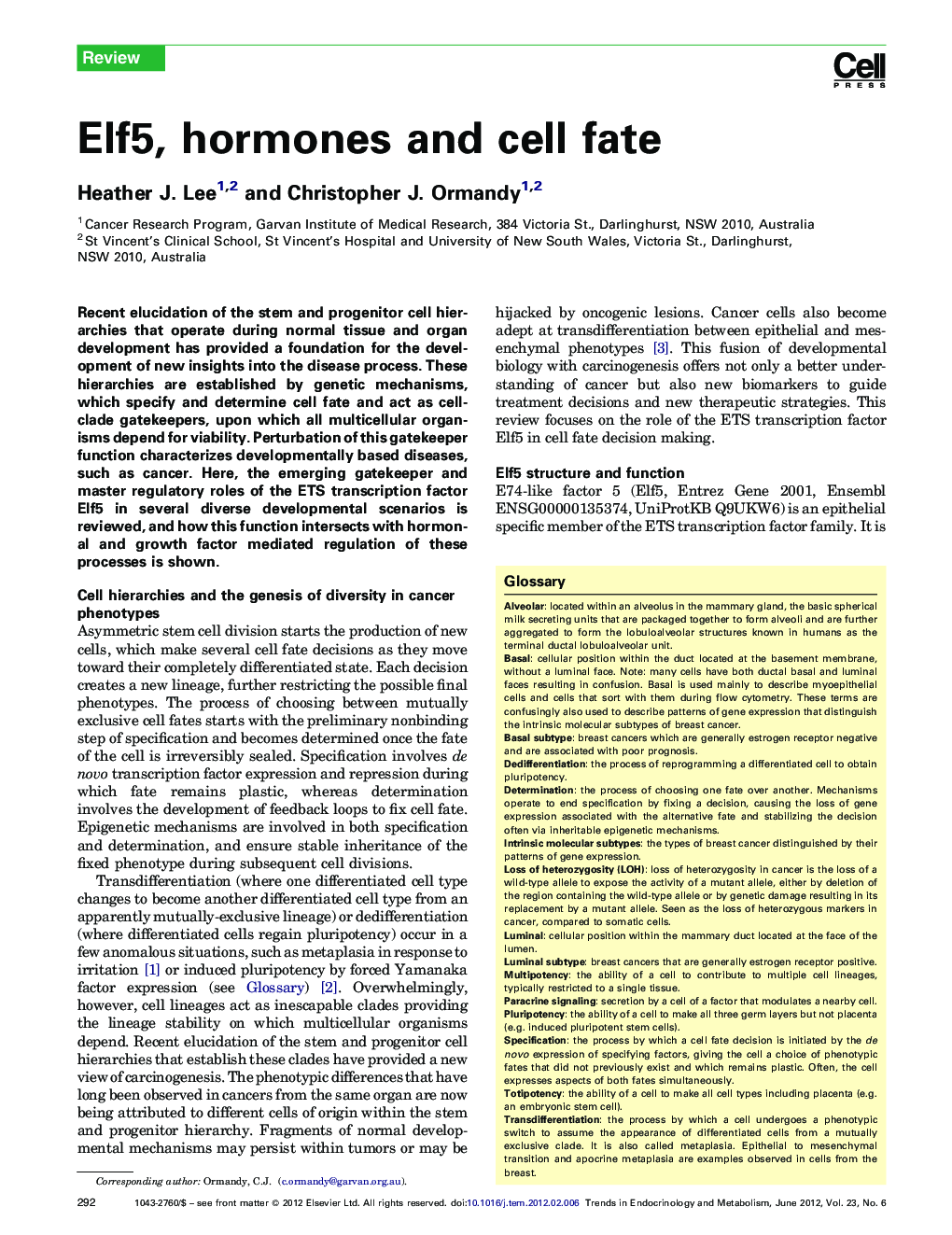 Elf5, hormones and cell fate