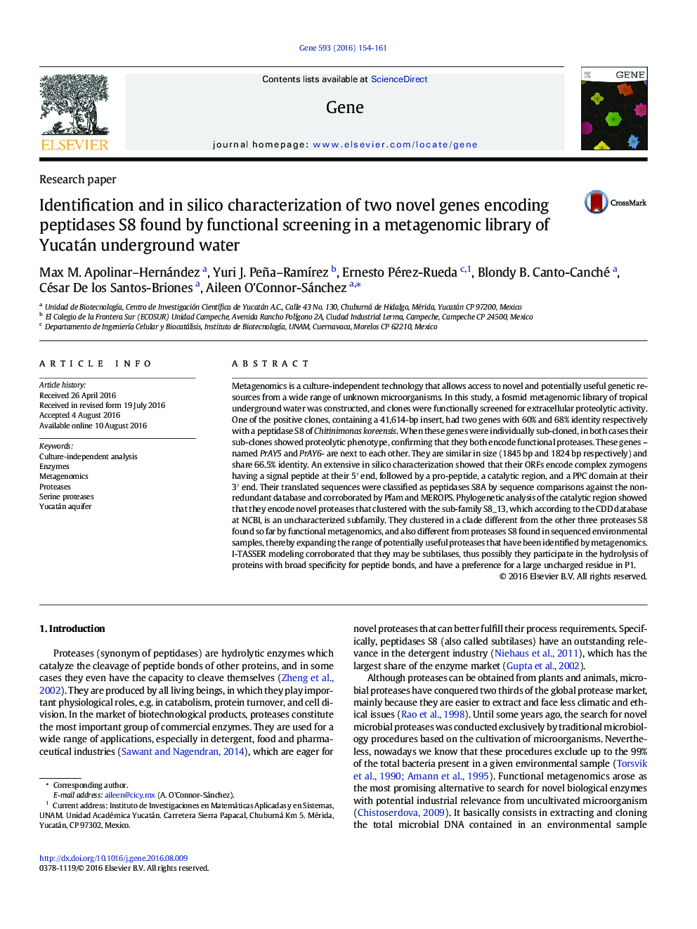 Identification and in silico characterization of two novel genes encoding peptidases S8 found by functional screening in a metagenomic library of Yucatán underground water