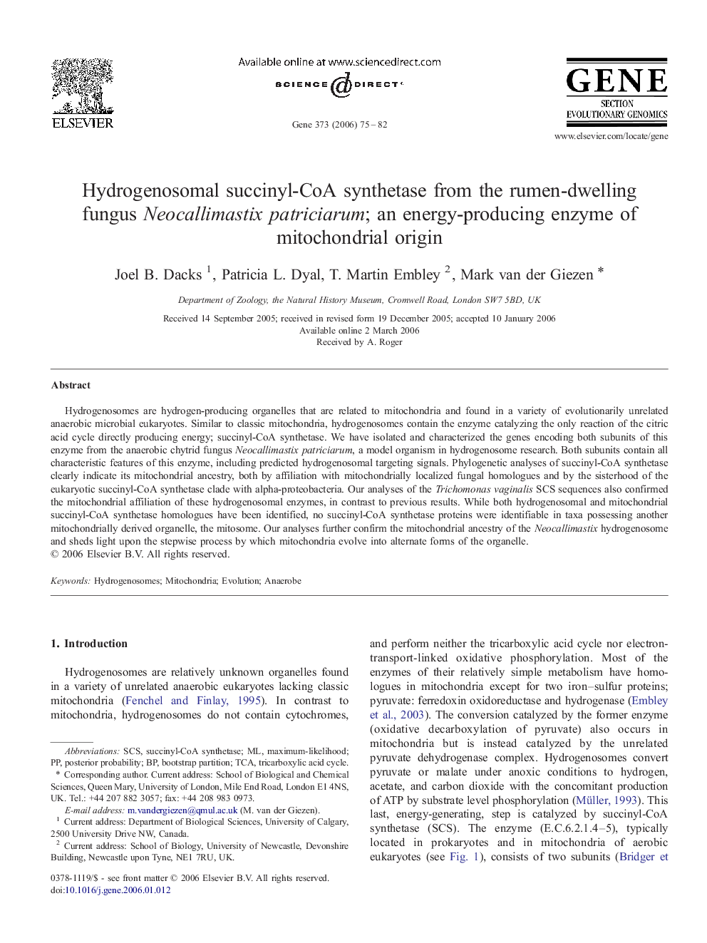 Hydrogenosomal succinyl-CoA synthetase from the rumen-dwelling fungus Neocallimastix patriciarum; an energy-producing enzyme of mitochondrial origin