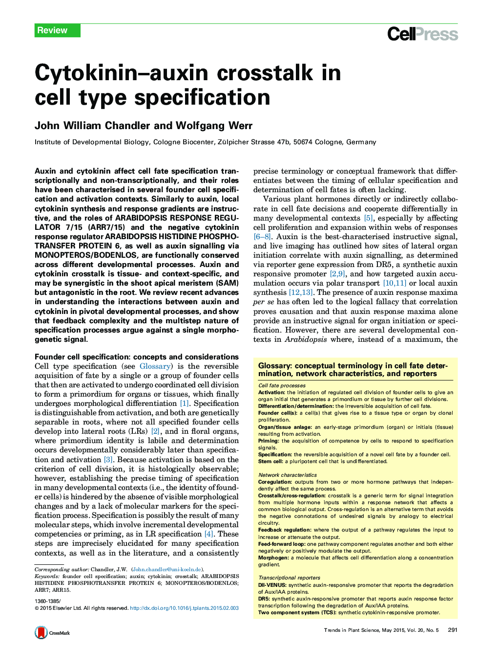 تداخل سیتوکینینا اکسین در مشخصات سلولی 