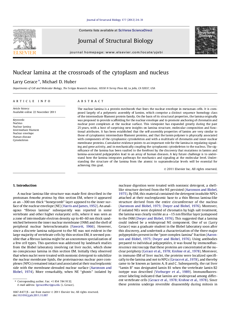 Nuclear lamina at the crossroads of the cytoplasm and nucleus